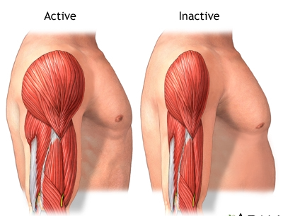 Read more about the article What happens when you don’t exercise